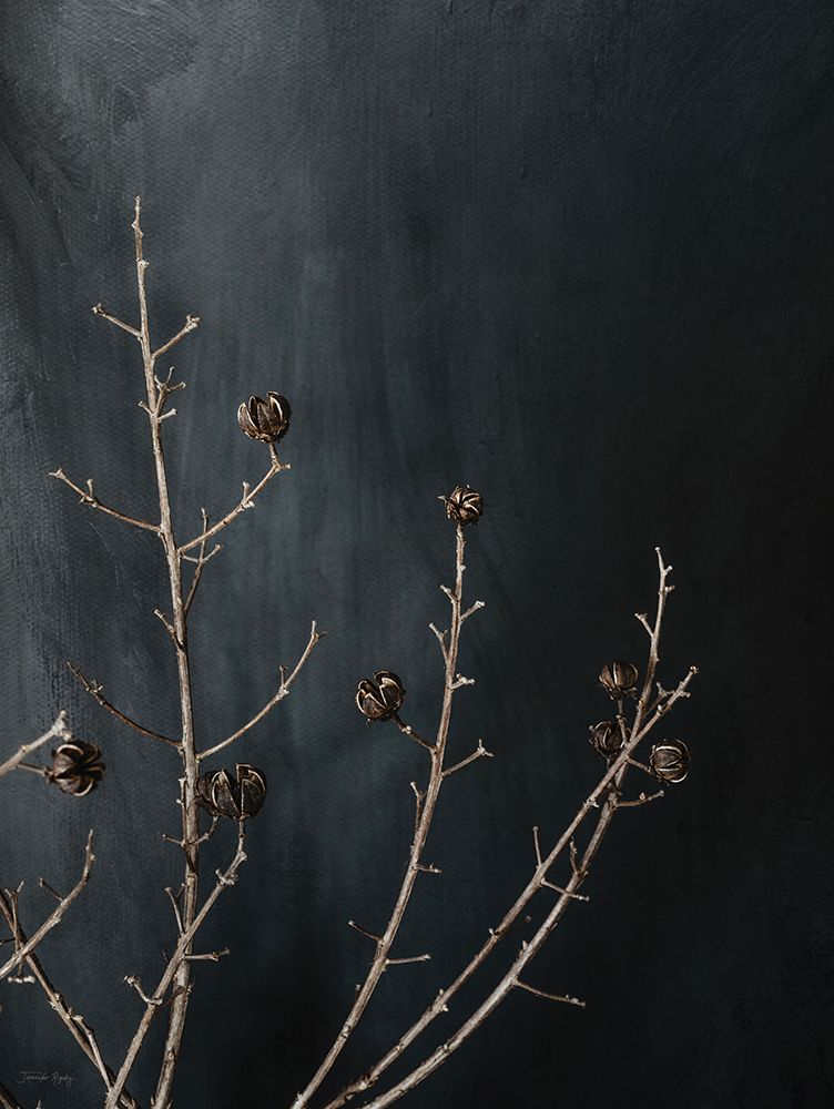 Branches in Noir I art print by Jennifer Rigsby for $57.95 CAD