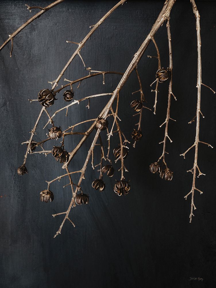 Branches in Noir II art print by Jennifer Rigsby for $57.95 CAD