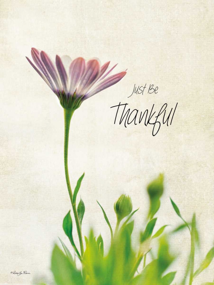 Just be Thankful art print by Robin-Lee Vieira for $57.95 CAD