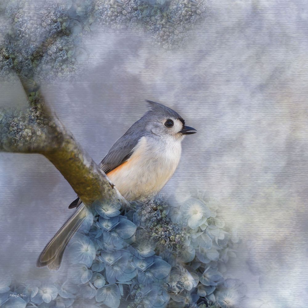Tufted Titmouse I art print by Robin-Lee Viera for $57.95 CAD