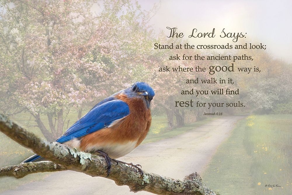 The Lord Says art print by Robin-Lee Viera for $57.95 CAD