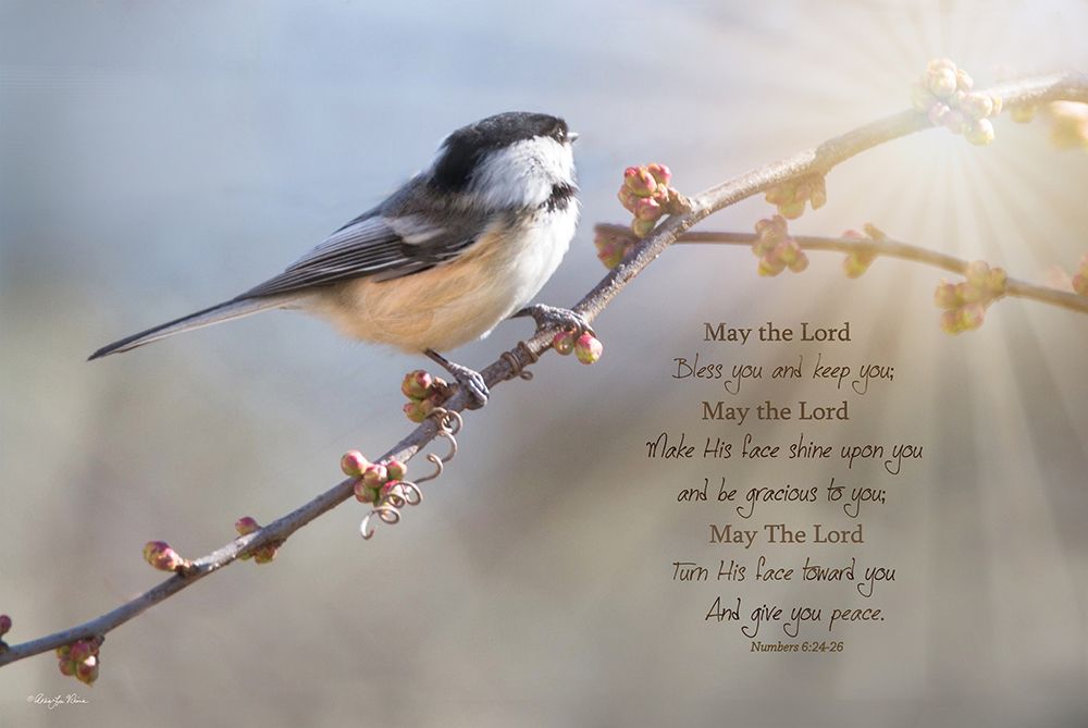 Bless You and Keep You art print by Robin-Lee Viera for $57.95 CAD