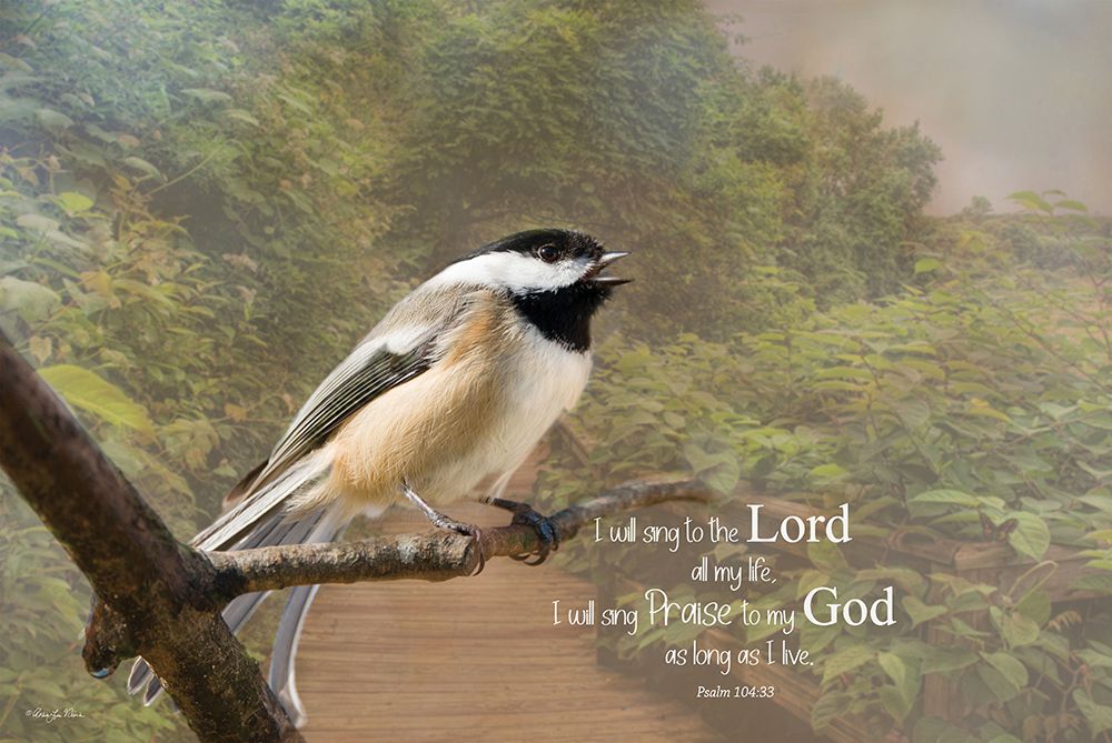 I will Sing to the Lord art print by Robin-Lee Viera for $57.95 CAD