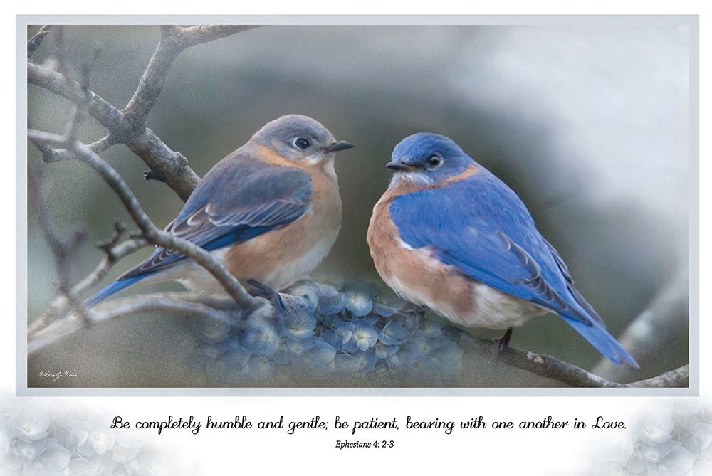 Humble and Gentle art print by Robin-Lee Viera for $57.95 CAD