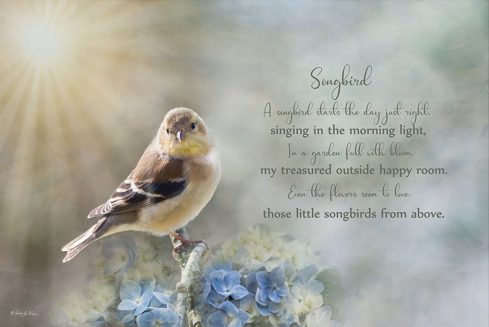 Singing in the Morning Light art print by Robin-Lee Viera for $57.95 CAD