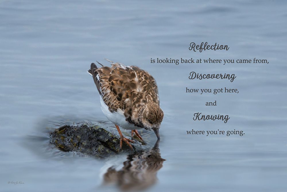 Reflection art print by Robin-Lee Viera for $57.95 CAD