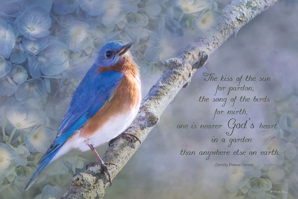 Gods Garden I art print by Robin-Lee Viera for $57.95 CAD