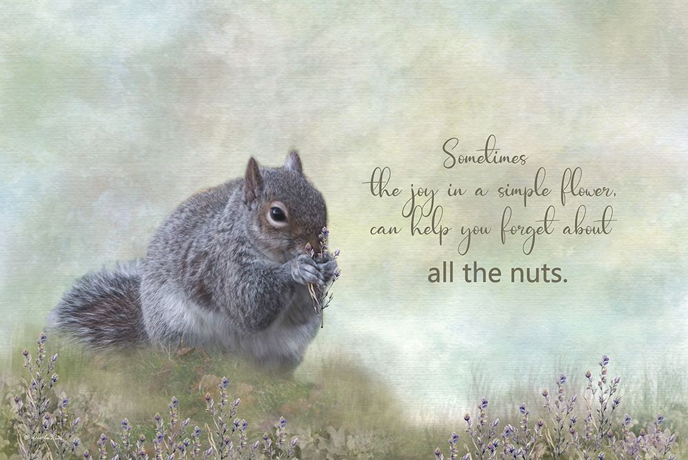 Forget About the Nuts art print by Robin-Lee Viera for $57.95 CAD