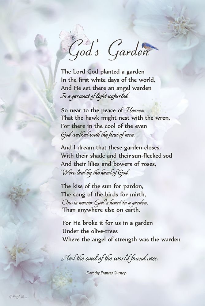 Gods Garden II art print by Robin-Lee Viera for $57.95 CAD