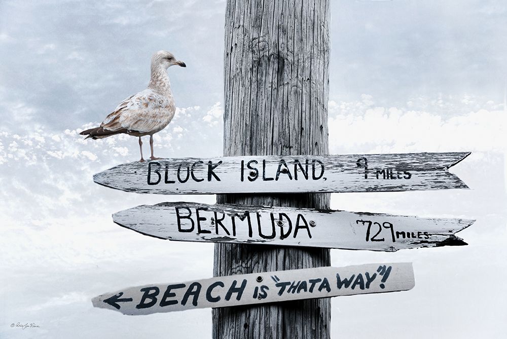 Beach is Thata Way art print by Robin-Lee Viera for $57.95 CAD