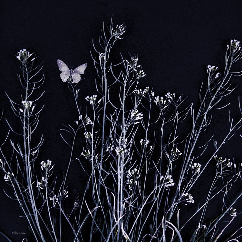 Butterfly Garden I art print by Robin-Lee Viera for $57.95 CAD