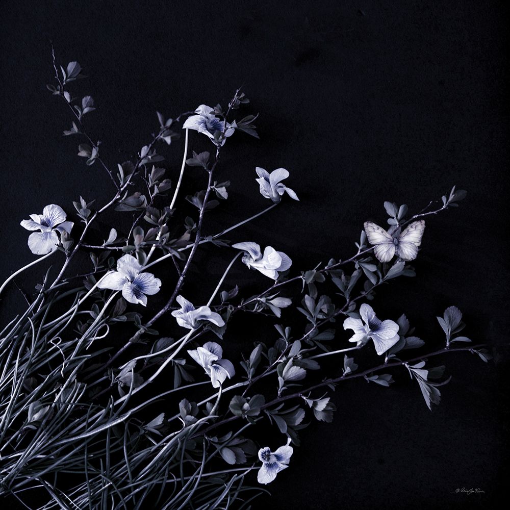 Butterfly Garden III art print by Robin-Lee Viera for $57.95 CAD