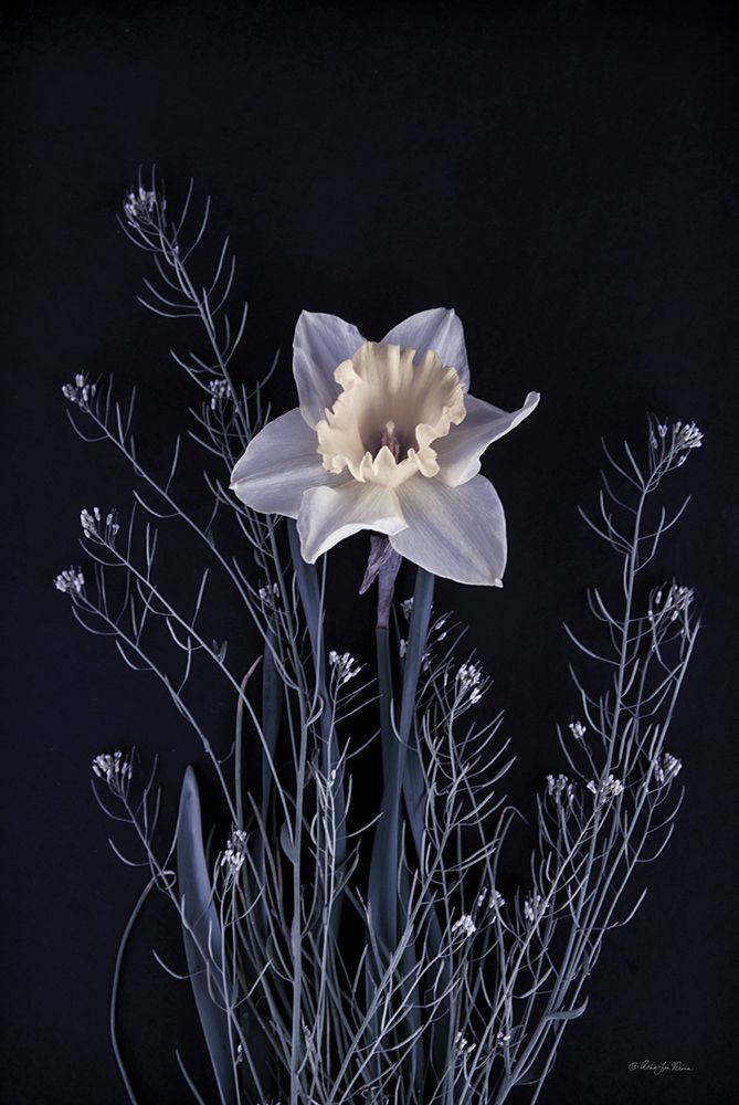 Spring Gathering IV art print by Robin-Lee Viera for $57.95 CAD