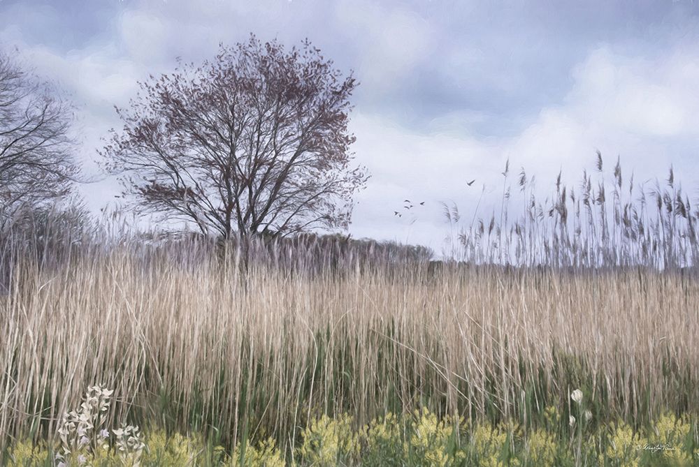 Meadow View art print by Robin-Lee Viera for $57.95 CAD