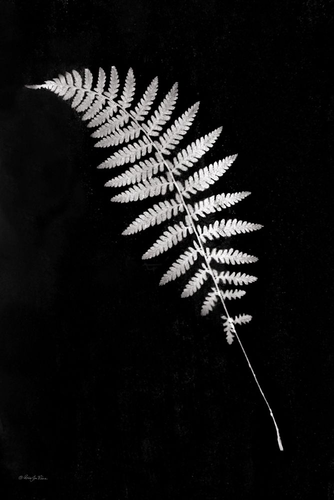 Simple Fern art print by Robin-Lee Viera for $57.95 CAD