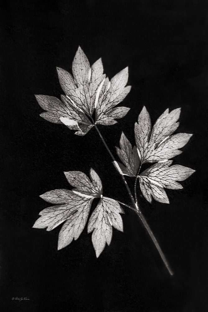 Simple Leaves art print by Robin-Lee Viera for $57.95 CAD