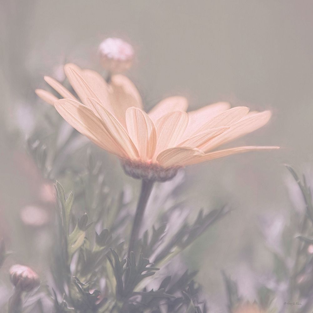 Shining Through art print by Robin-Lee Viera for $57.95 CAD