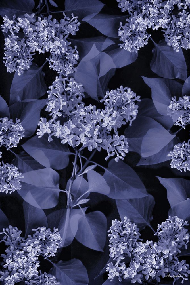 Blooming in Indigo I art print by Robin-Lee Viera for $57.95 CAD