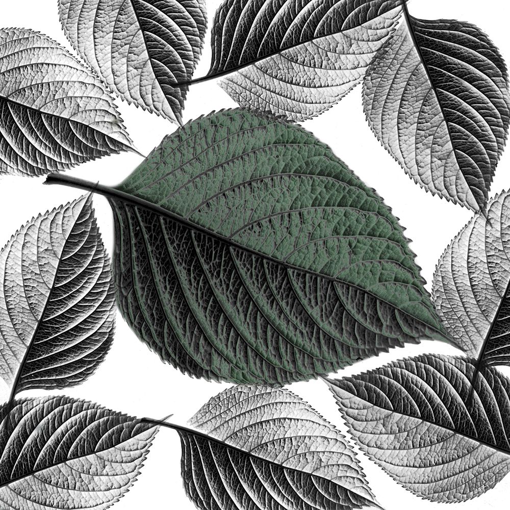 All in the Details art print by Robin-Lee Viera for $57.95 CAD