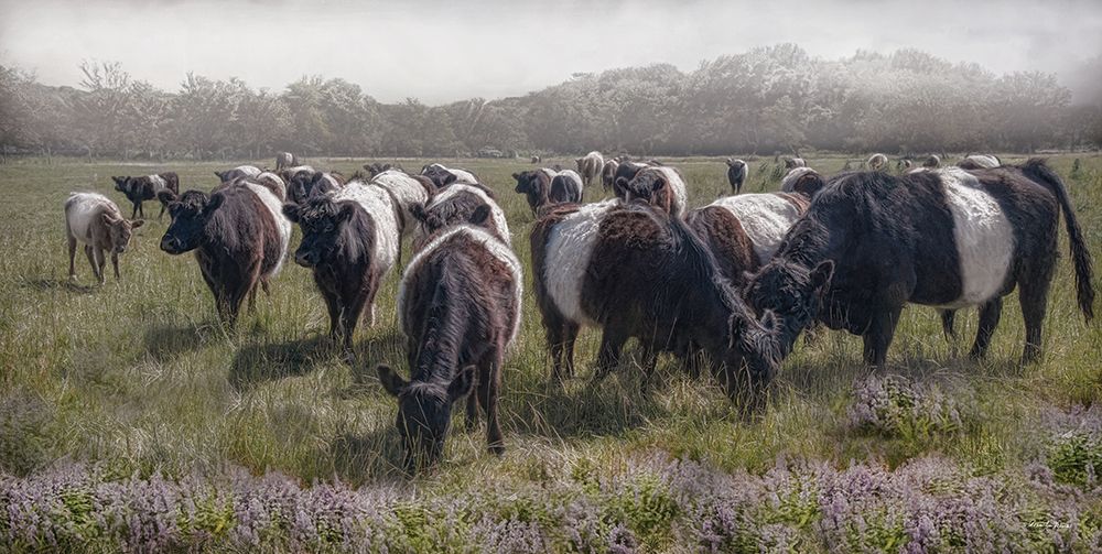 Home on the Range art print by Robin-Lee Viera for $57.95 CAD