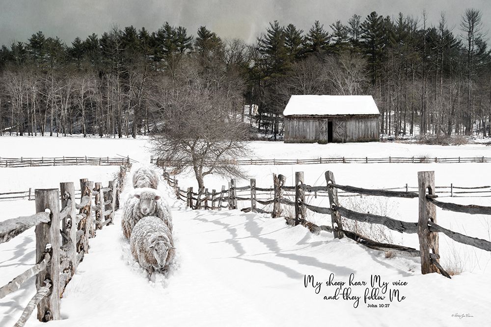 They Follow Me art print by Robin-Lee Viera for $57.95 CAD