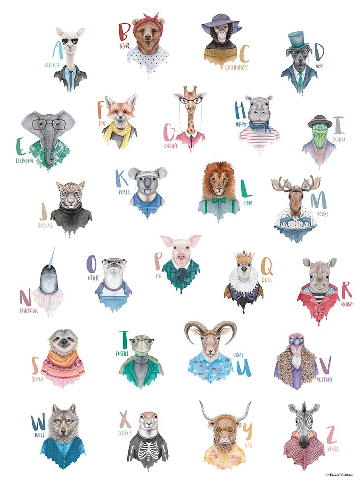 Animal Alphabet Poster art print by Rachel Nieman for $57.95 CAD