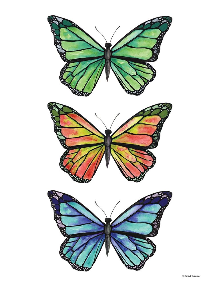 Stacked Wonderful Butterflies art print by Rachel Nieman for $57.95 CAD