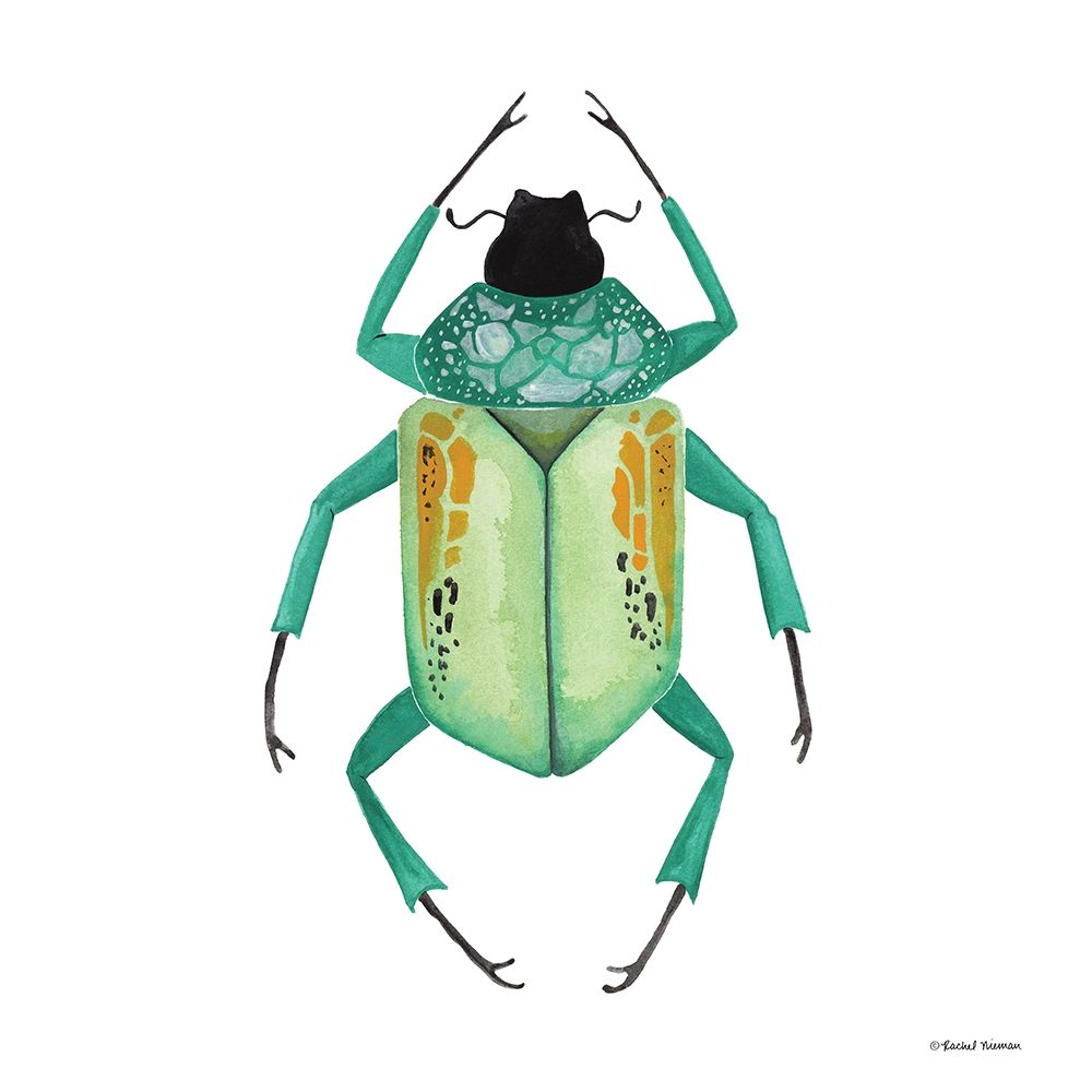Naturally Wonderful Beetle art print by Rachel Nieman for $57.95 CAD