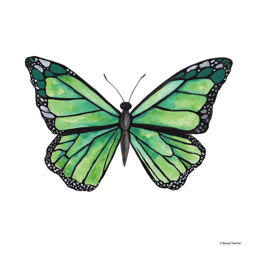 Naturally Wonderful Butterfly art print by Rachel Nieman for $57.95 CAD