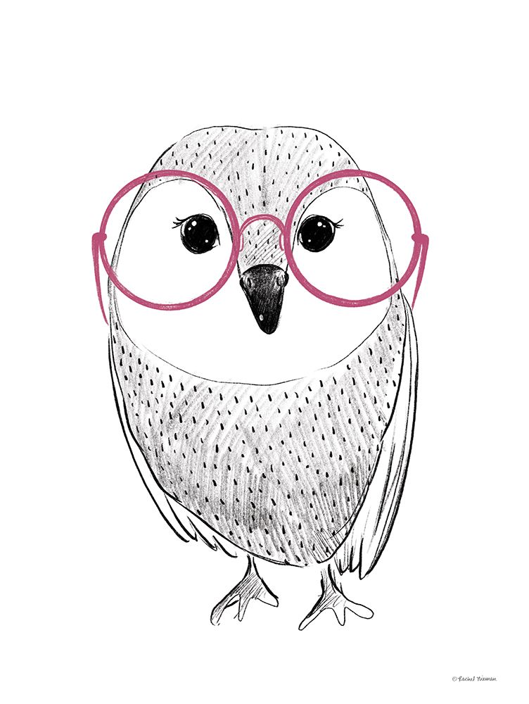 Owl in Pink Glasses art print by Rachel Nieman for $57.95 CAD