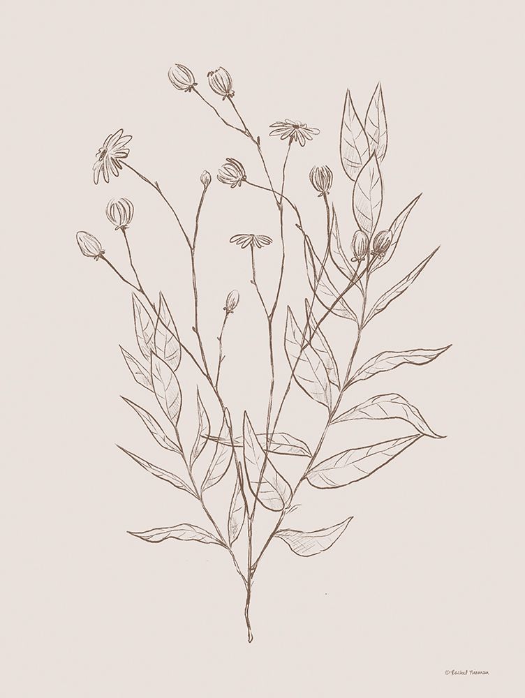 Wildflower Drawing art print by Rachel Nieman for $57.95 CAD