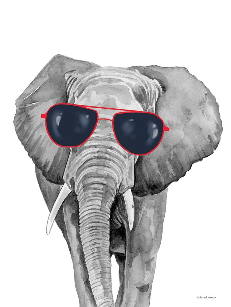 Looking Cool Elephant art print by Rachel Nieman for $57.95 CAD