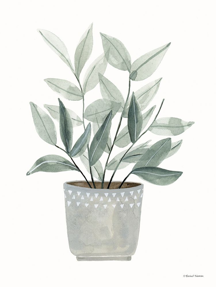 Sage Planter art print by Rachel Nieman for $57.95 CAD