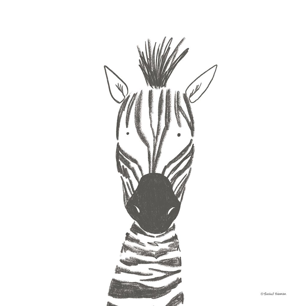 Zebra Line Drawing art print by Rachel Nieman for $57.95 CAD