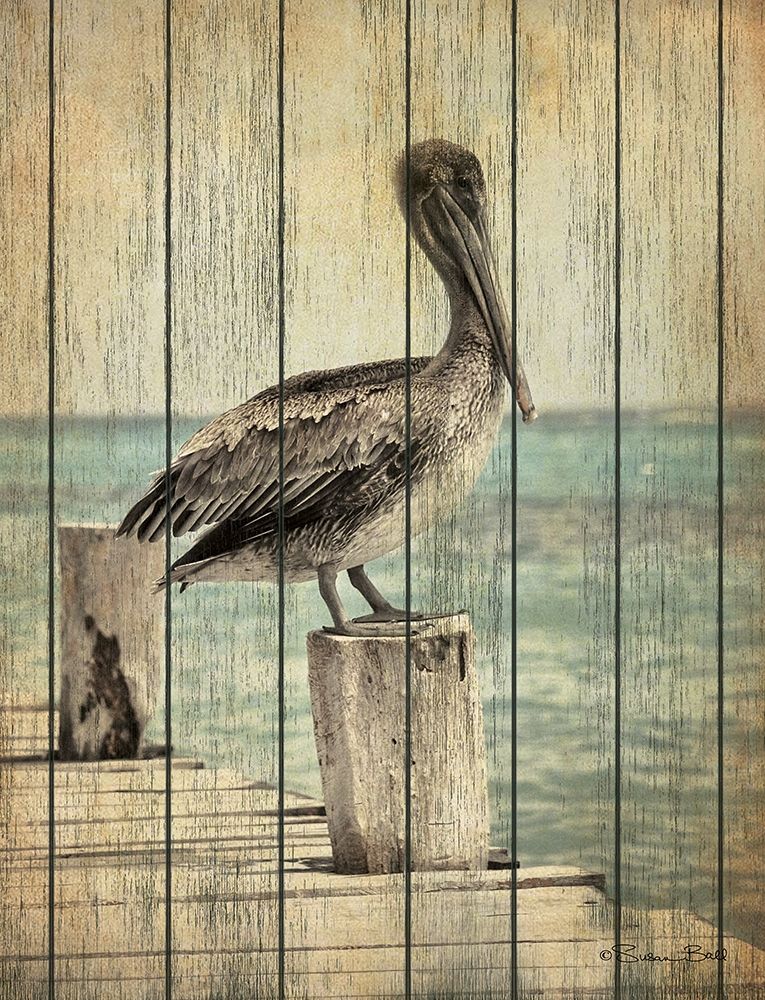 Vintage Pelican I  art print by Susan Ball for $57.95 CAD