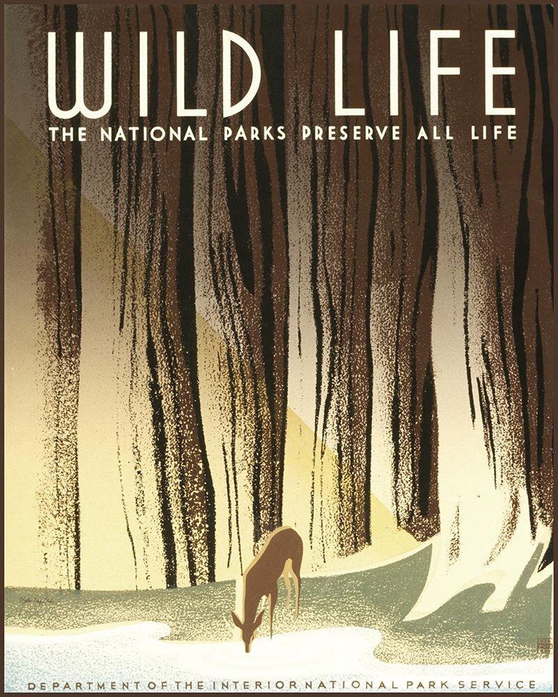 Wild Life art print by Stellar Design Studio for $57.95 CAD