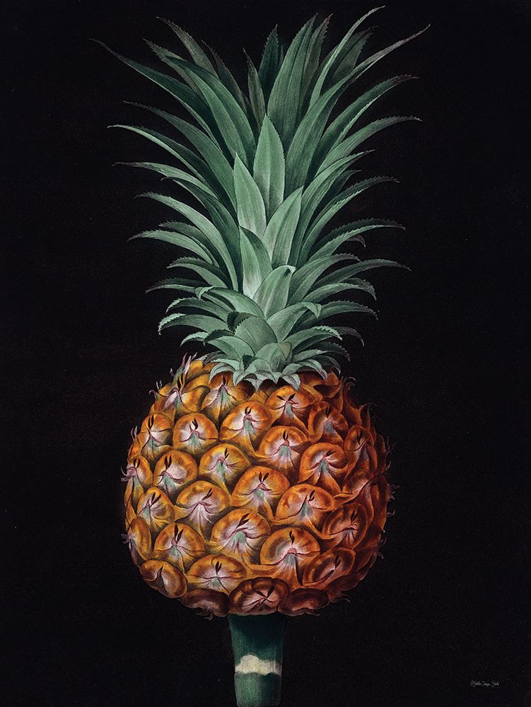 Vintage Pineapple I art print by Stellar Design Studio for $57.95 CAD