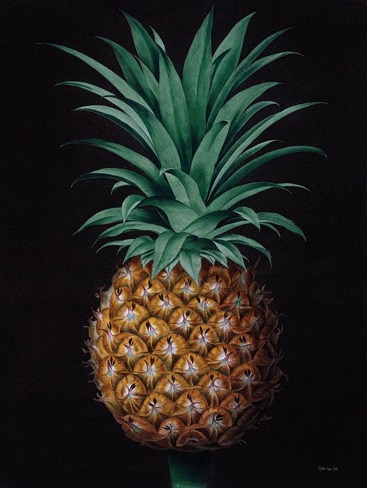 Vintage Pineapple II art print by Stellar Design Studio for $57.95 CAD