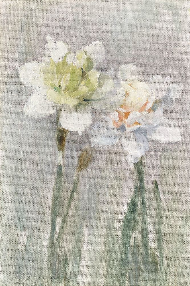 White Narcissi art print by Stellar Design Studio for $57.95 CAD