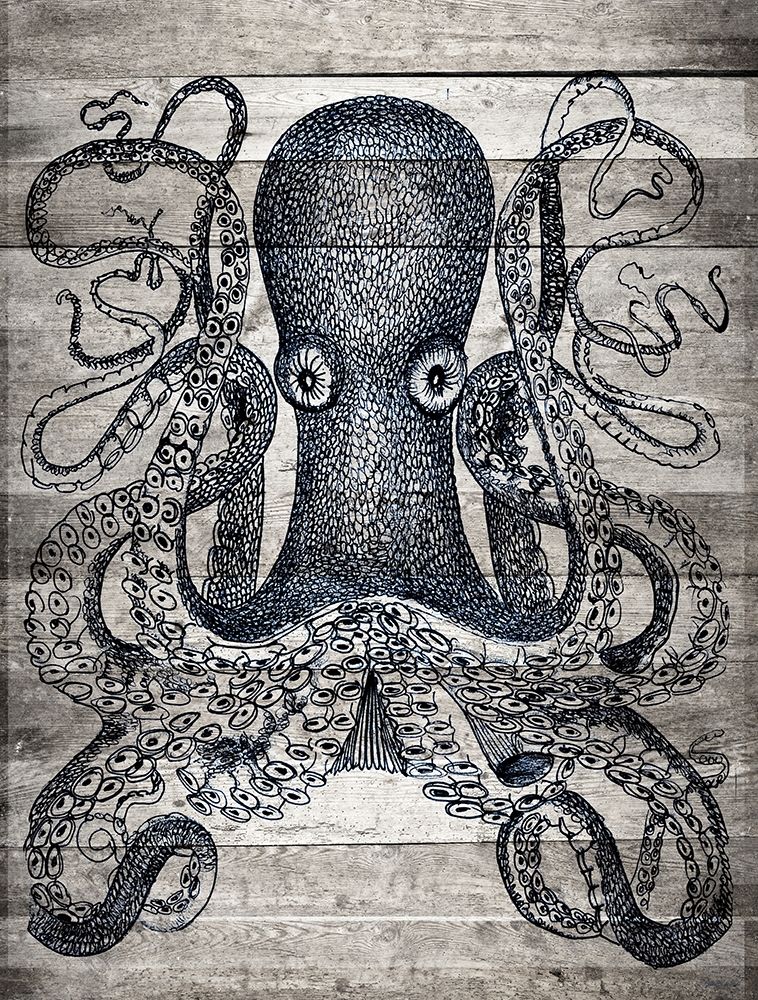 Kraken II art print by Stellar Design Studio for $57.95 CAD