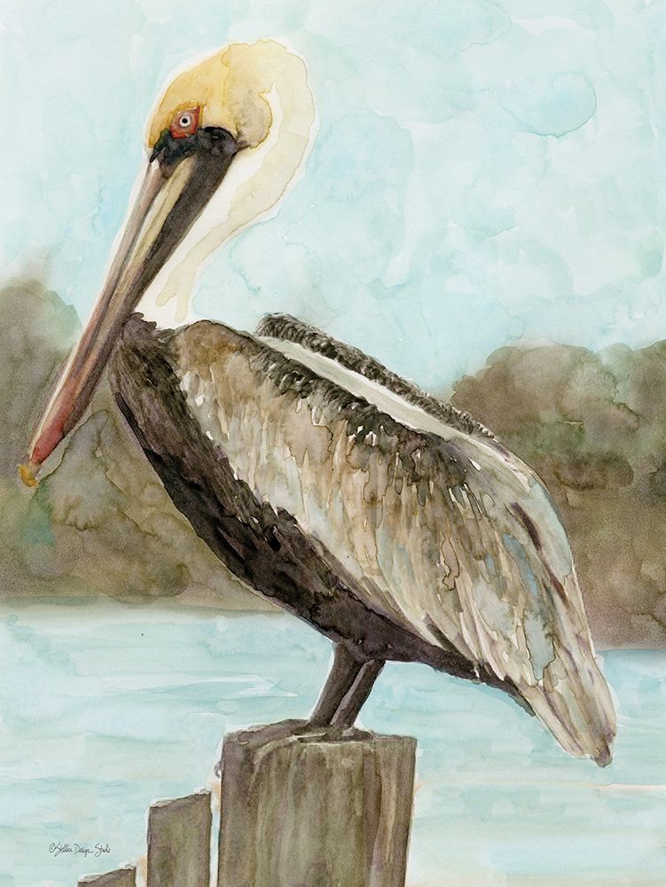 Brown Pelican 3 art print by Stellar Design Studio for $57.95 CAD