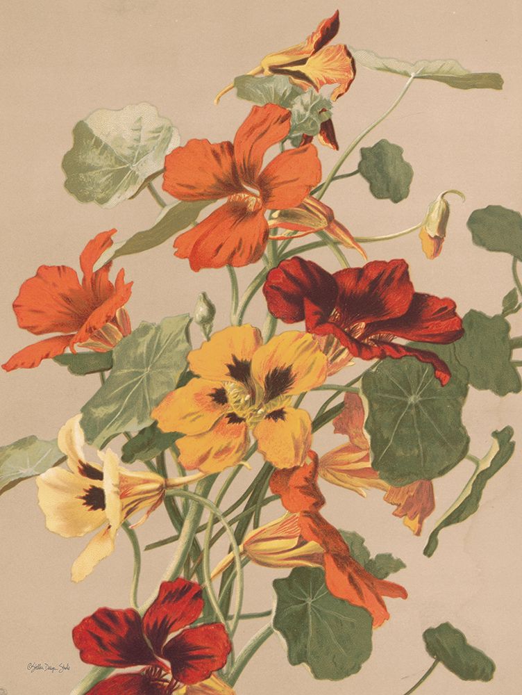 Antique Botanical Collection 2 art print by Stellar Design Studio for $57.95 CAD