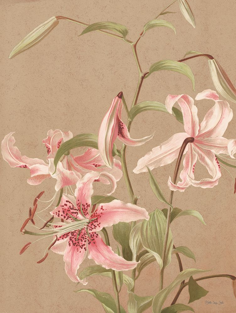 Antique Botanical Collection 3 art print by Stellar Design Studio for $57.95 CAD