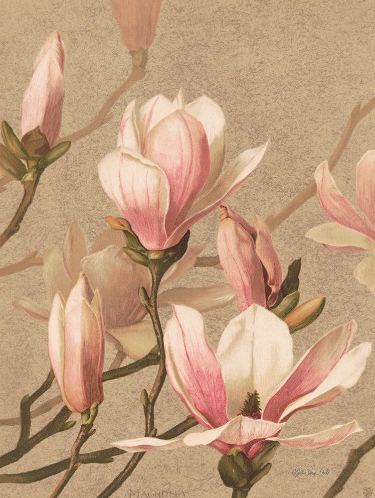 Antique Botanical Collection 4 art print by Stellar Design Studio for $57.95 CAD