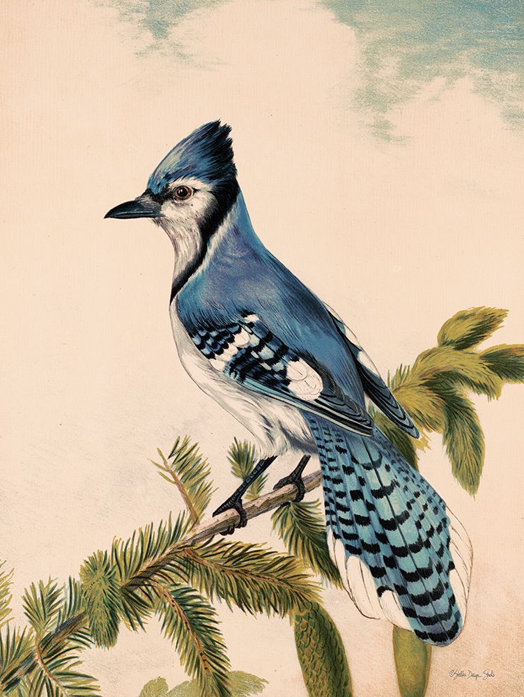 Bluebird on Evergreen art print by Stellar Design Studio for $57.95 CAD