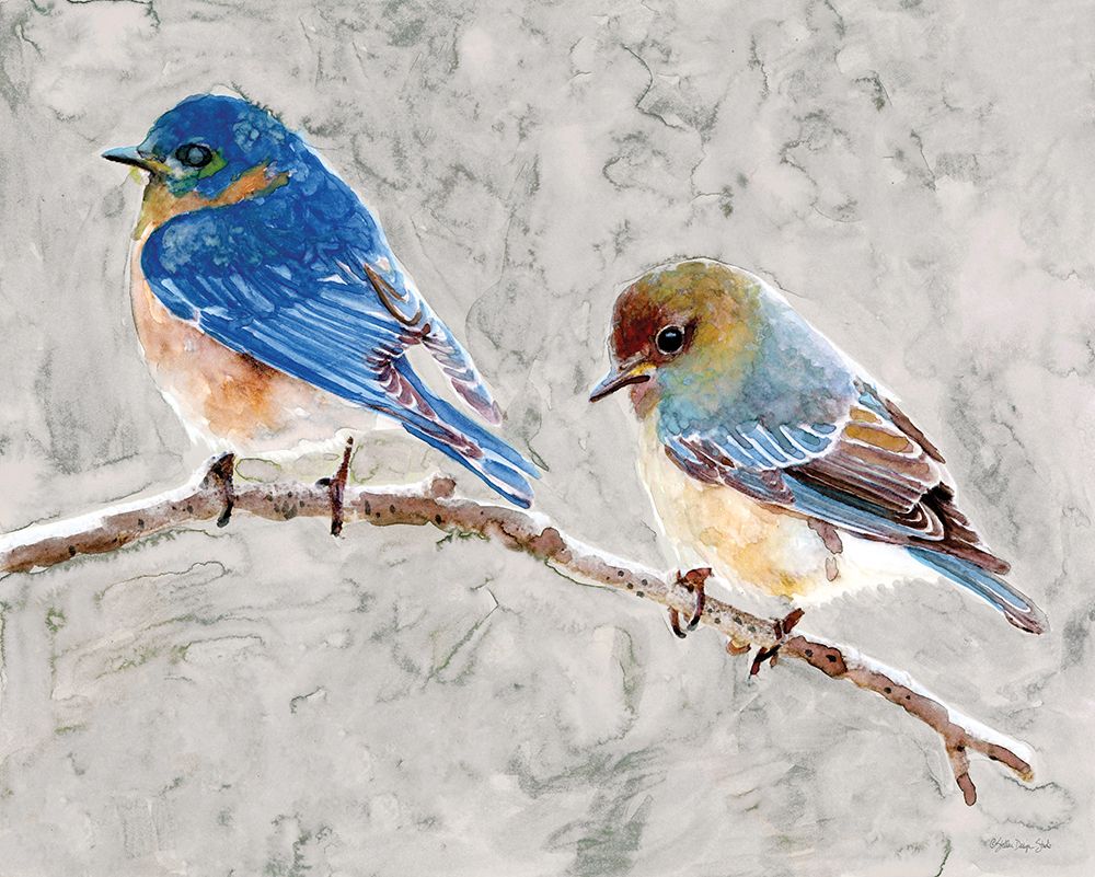 Eastern Bluebirds 1 art print by Stellar Design Studio for $57.95 CAD