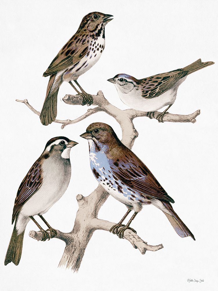 Birds on Branch art print by Stellar Design Studio for $57.95 CAD