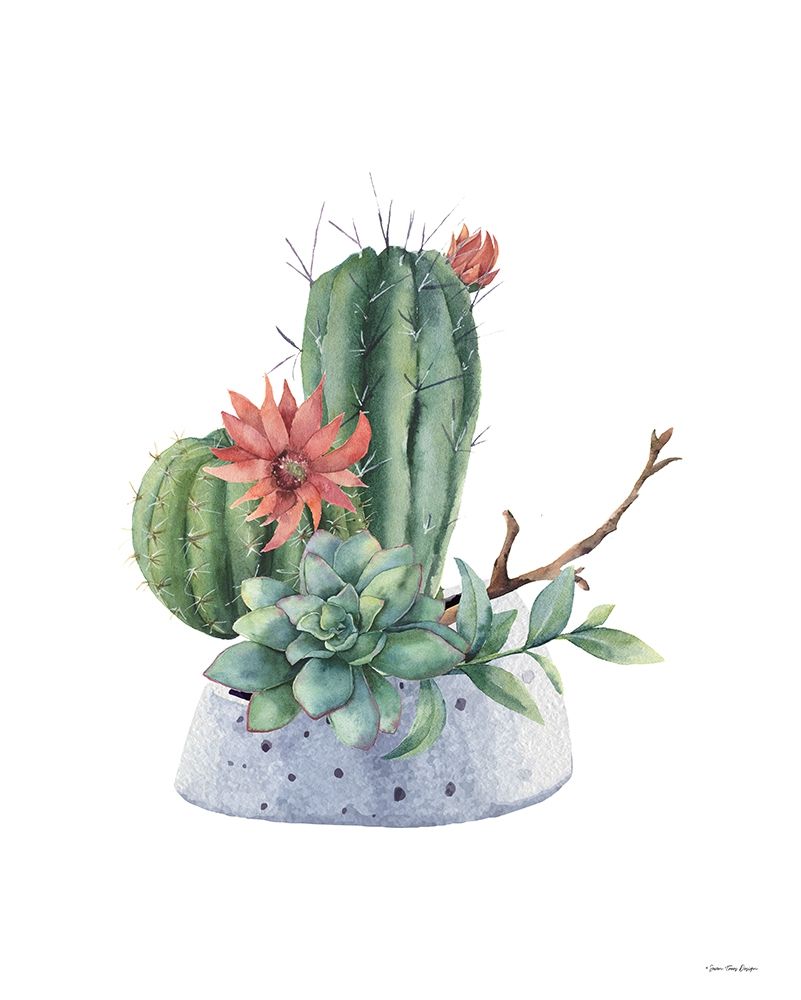 Watercolor Cactus art print by Seven Trees Design for $57.95 CAD