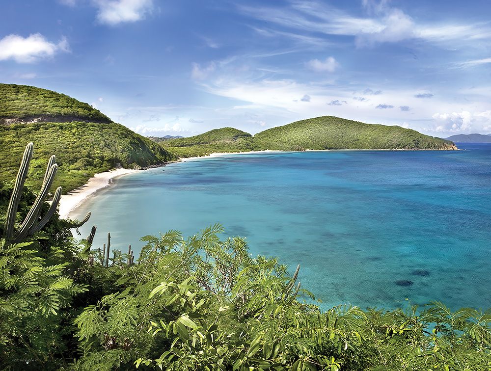 Caribbean Overlook art print by Catch A Star Fine Art for $57.95 CAD