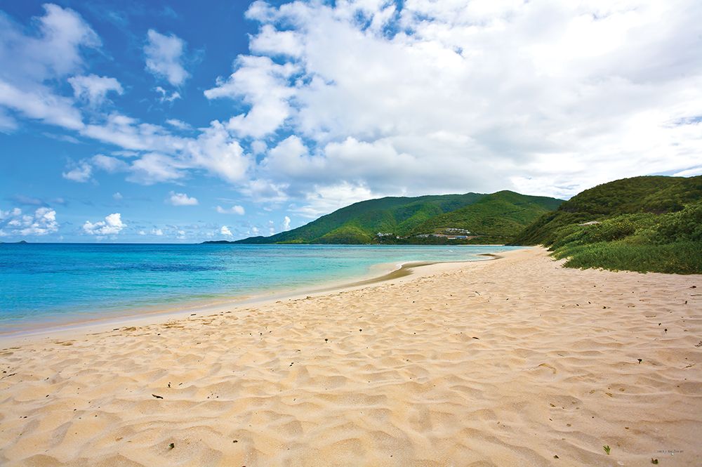 Coastal Caribbean Beach art print by Catch A Star Fine Art for $57.95 CAD